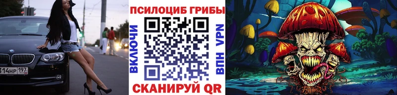 Псилоцибиновые грибы Cubensis  Купить где  Цивильск 
