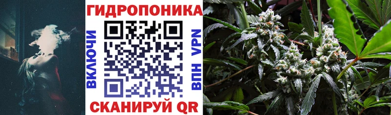 Купить где Цивильск Шишки марихуана THC 21%